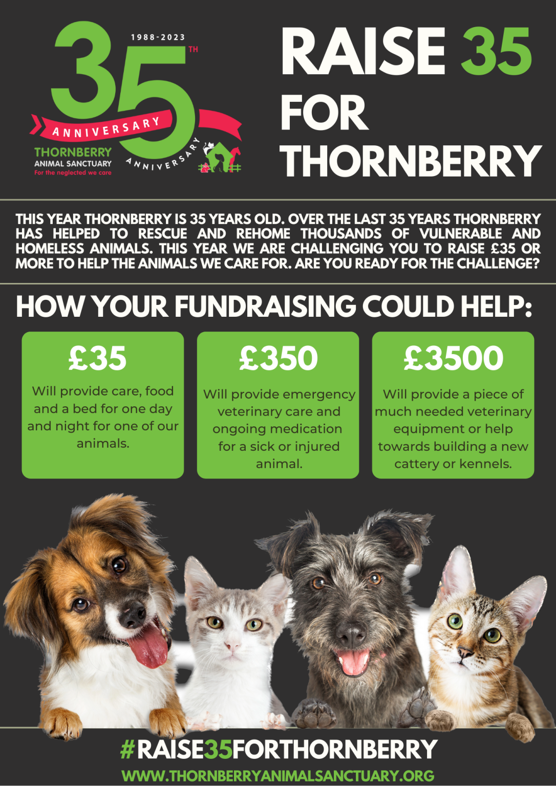 Raise 35 for Thornberry - Thornberry Animal Sanctuary