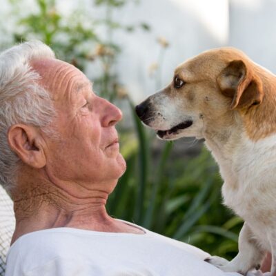 Old man resting in garden and cute dog climb on his chest and kissing him. Pet love concept